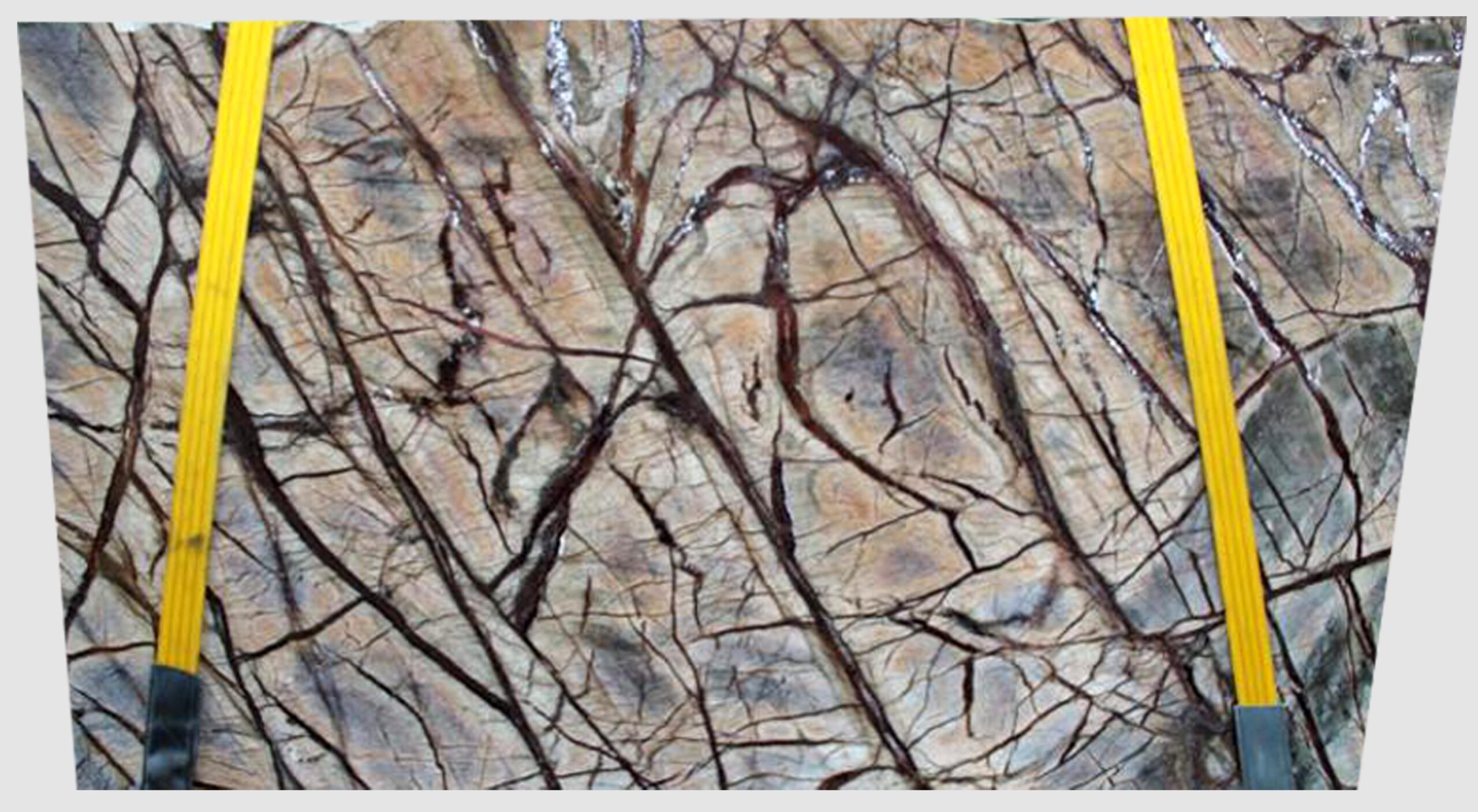 RAIN FOREST BROWN Marmur Brązowy Bardzo wzorzysty – Indie
